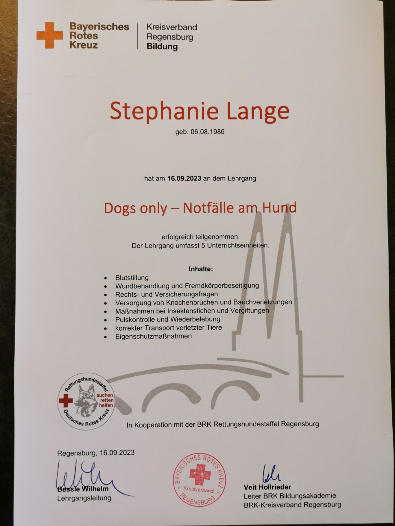 Zertifikat Erste Hilfe am Hund