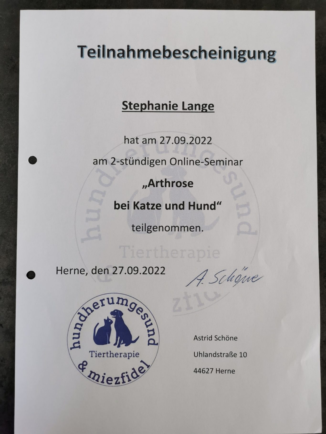 Teilnahmebescheinigung Arthrose bei Katze und Hund Teilnahmebescheinigung Arthrose bei Katze und Hund